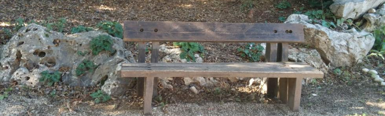 תמונה מצגת ראשית